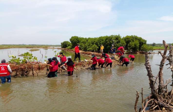 GenBI Peduli Lingkungan : Penanaman Pohon Mangrove 