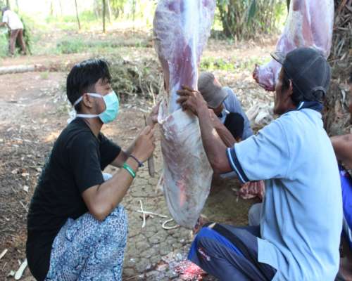 GenBI Ber-Qurban
